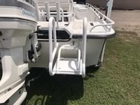 Custom Aluminum Swim Ladder and Platform.